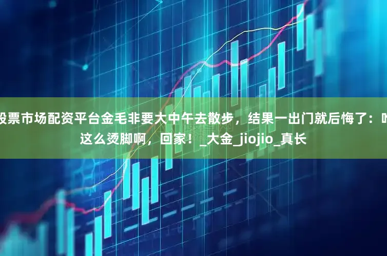 股票市场配资平台金毛非要大中午去散步，结果一出门就后悔了：咋这么烫脚啊，回家！_大金_jiojio_真长