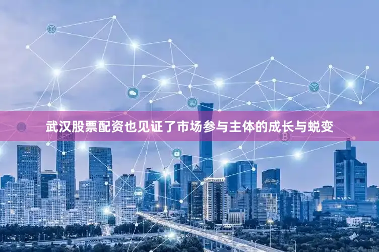 武汉股票配资也见证了市场参与主体的成长与蜕变