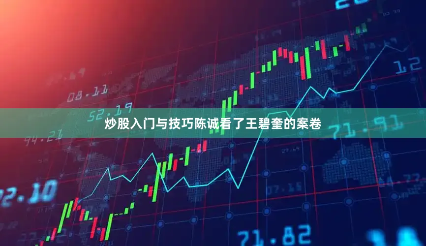 炒股入门与技巧陈诚看了王碧奎的案卷
