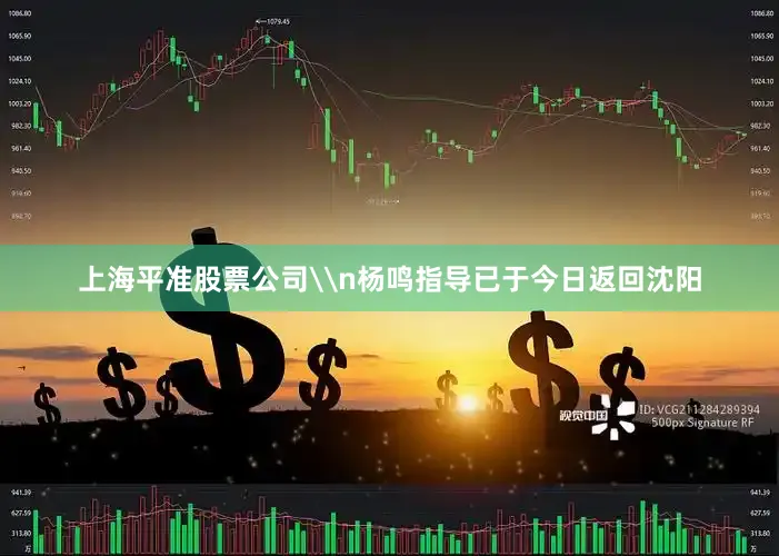 上海平准股票公司\n杨鸣指导已于今日返回沈阳