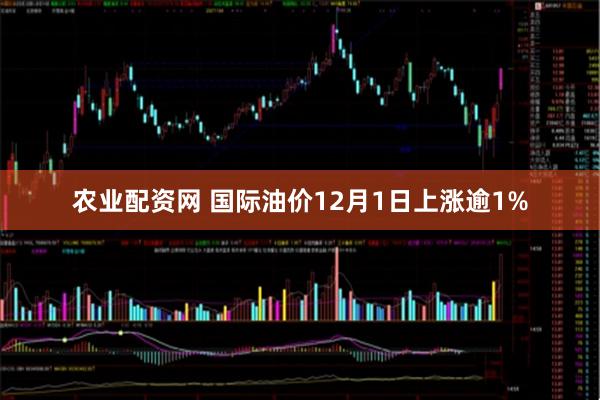 农业配资网 国际油价12月1日上涨逾1%
